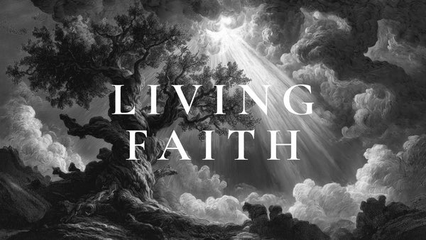 Faith & Works: The&nbsp;Evidence&nbsp;of&nbsp;a&nbsp;True&nbsp;Disciple